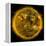 Magnetic Field Lines on the Sun-Stocktrek Images-Framed Premier Image Canvas