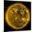 Magnetic Field Lines on the Sun-Stocktrek Images-Mounted Photographic Print