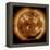 Magnetic Field Lines on the Sun-Stocktrek Images-Framed Premier Image Canvas