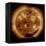 Magnetic Field Lines on the Sun-Stocktrek Images-Framed Premier Image Canvas