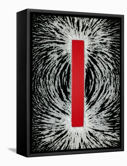 Magnetic Field-Cordelia Molloy-Framed Premier Image Canvas