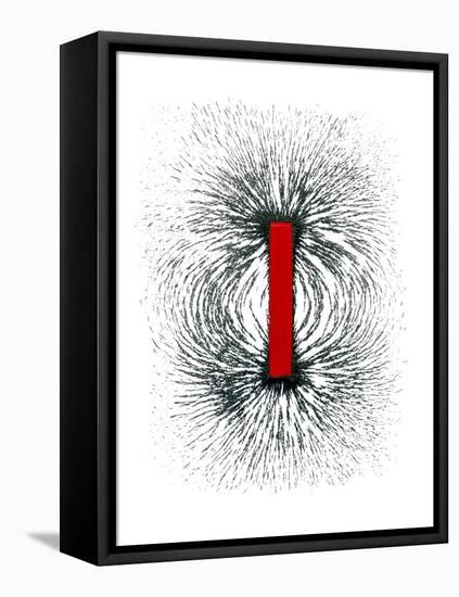 Magnetic Field-Cordelia Molloy-Framed Premier Image Canvas