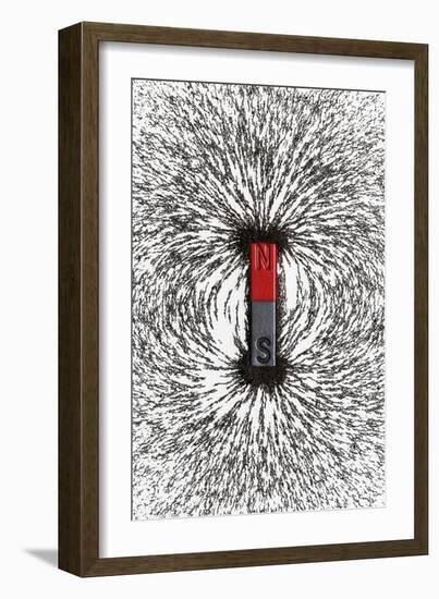 Magnetic Field-Cordelia Molloy-Framed Photographic Print