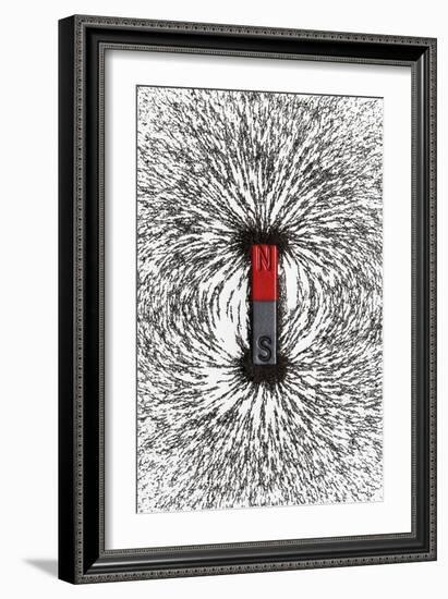 Magnetic Field-Cordelia Molloy-Framed Photographic Print