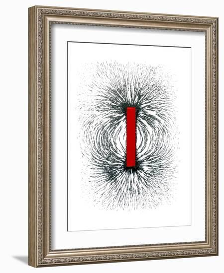 Magnetic Field-Cordelia Molloy-Framed Photographic Print