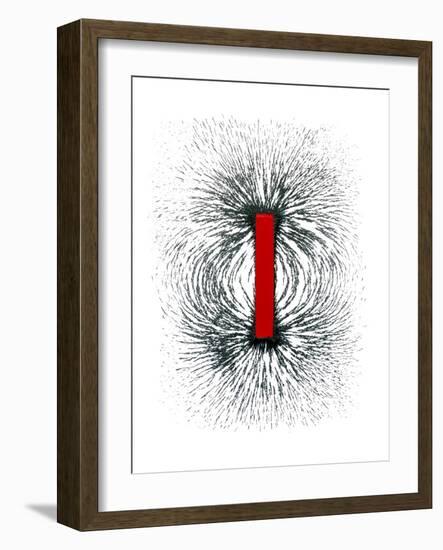 Magnetic Field-Cordelia Molloy-Framed Photographic Print