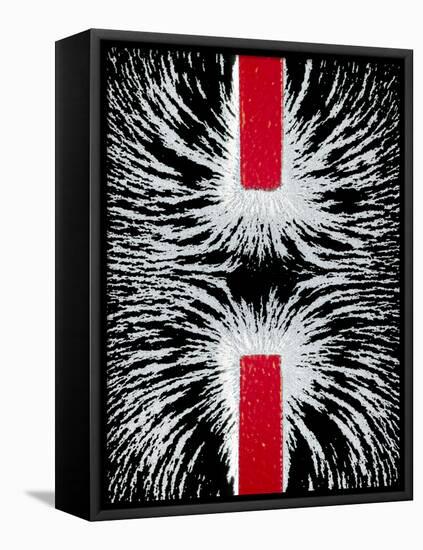 Magnetic Repulsion-Cordelia Molloy-Framed Premier Image Canvas