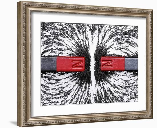 Magnetic Repulsion-Cordelia Molloy-Framed Photographic Print