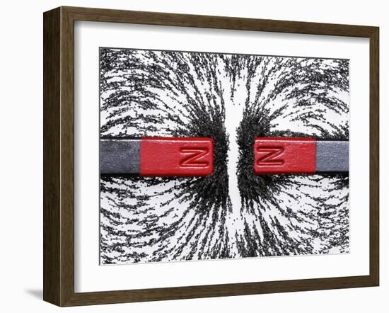 Magnetic Repulsion-Cordelia Molloy-Framed Photographic Print
