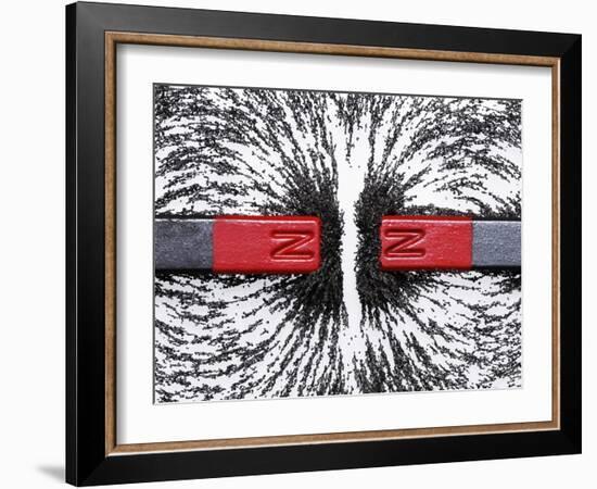 Magnetic Repulsion-Cordelia Molloy-Framed Photographic Print