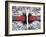 Magnetic Repulsion-Cordelia Molloy-Framed Photographic Print