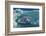 Magnificant Antartica-Art Wolfe-Framed Photographic Print