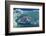 Magnificant Antartica-Art Wolfe-Framed Photographic Print