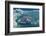 Magnificant Antartica-Art Wolfe-Framed Photographic Print