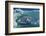 Magnificant Antartica-Art Wolfe-Framed Photographic Print