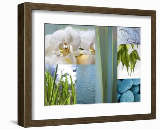 Magnificence In Nature-Sidney Aver-Framed Art Print