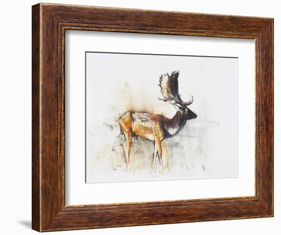 Magnificent Fallow Buck, 2006-Mark Adlington-Framed Giclee Print