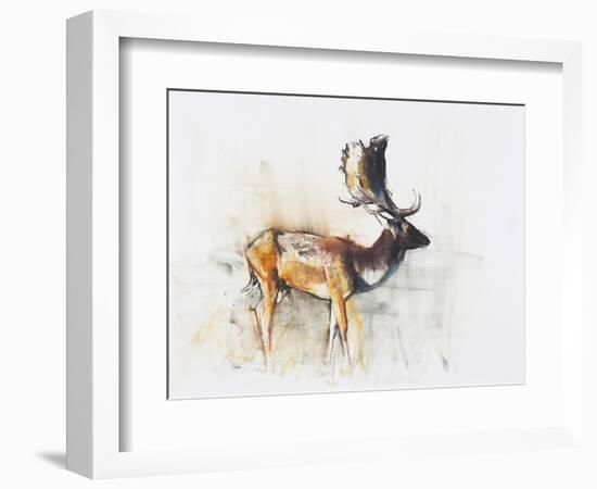 Magnificent Fallow Buck, 2006-Mark Adlington-Framed Giclee Print