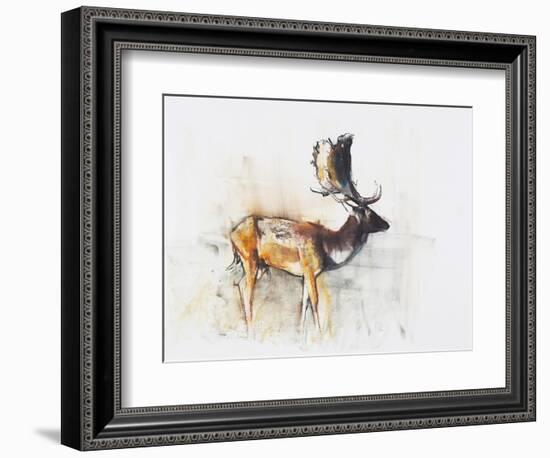 Magnificent Fallow Buck, 2006-Mark Adlington-Framed Giclee Print