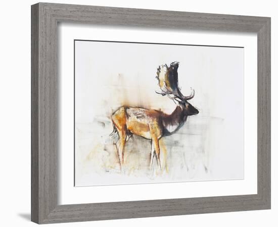 Magnificent Fallow Buck, 2006-Mark Adlington-Framed Giclee Print