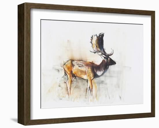 Magnificent Fallow Buck, 2006-Mark Adlington-Framed Giclee Print