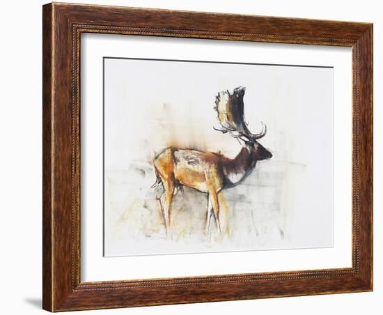Magnificent Fallow Buck, 2006-Mark Adlington-Framed Giclee Print