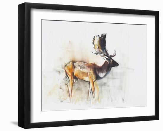 Magnificent Fallow Buck, 2006-Mark Adlington-Framed Giclee Print