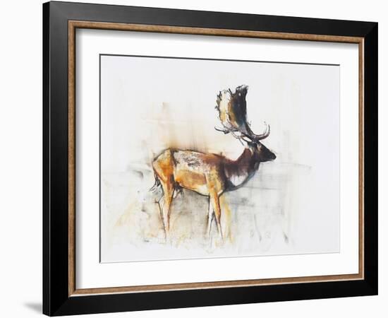 Magnificent Fallow Buck, 2006-Mark Adlington-Framed Giclee Print