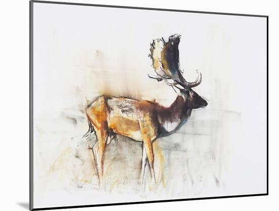 Magnificent Fallow Buck, 2006-Mark Adlington-Mounted Giclee Print