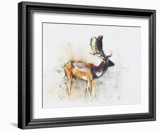 Magnificent Fallow Buck, 2006-Mark Adlington-Framed Giclee Print