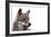 Magnificent Gaze - Pure-Staffan Widstrand-Framed Giclee Print