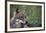Magnificent Gaze-Staffan Widstrand-Framed Giclee Print
