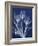 Magnificent Indigo Tulips-Albert Koetsier-Framed Art Print