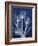 Magnificent Indigo Tulips-Albert Koetsier-Framed Art Print