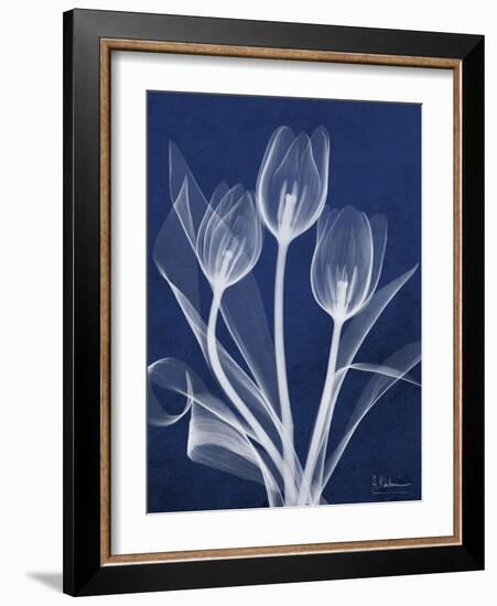 Magnificent Indigo Tulips-Albert Koetsier-Framed Art Print