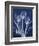 Magnificent Indigo Tulips-Albert Koetsier-Framed Art Print