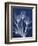 Magnificent Indigo Tulips-Albert Koetsier-Framed Art Print