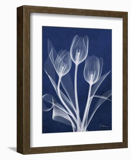 Magnificent Indigo Tulips-Albert Koetsier-Framed Art Print