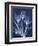 Magnificent Indigo Tulips-Albert Koetsier-Framed Art Print