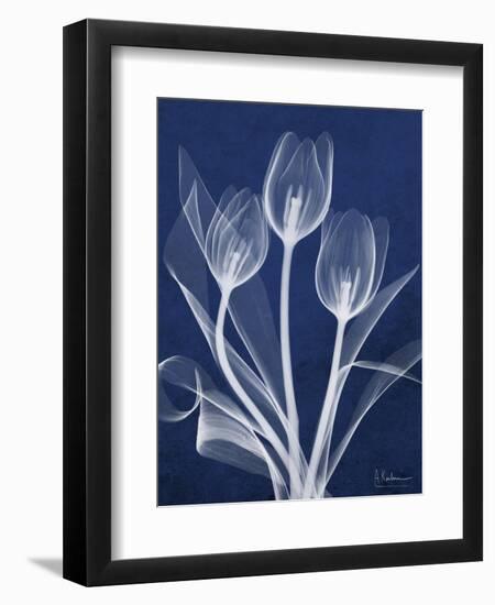 Magnificent Indigo Tulips-Albert Koetsier-Framed Art Print