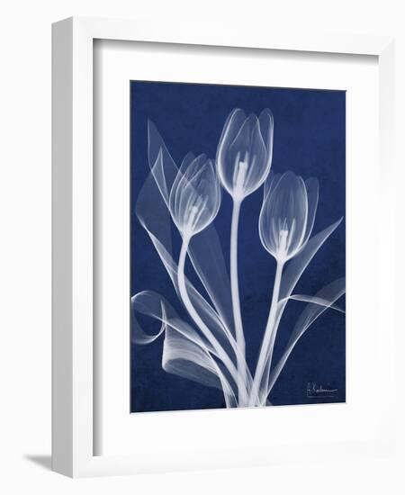 Magnificent Indigo Tulips-Albert Koetsier-Framed Art Print