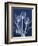 Magnificent Indigo Tulips-Albert Koetsier-Framed Art Print