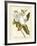 Magnificent Magnolias I-Jacob Trew-Framed Giclee Print