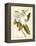 Magnificent Magnolias I-Jacob Trew-Framed Stretched Canvas