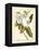 Magnificent Magnolias I-Jacob Trew-Framed Stretched Canvas