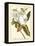 Magnificent Magnolias I-Jacob Trew-Framed Stretched Canvas