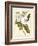 Magnificent Magnolias I-Jacob Trew-Framed Premium Giclee Print