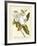 Magnificent Magnolias I-Jacob Trew-Framed Premium Giclee Print