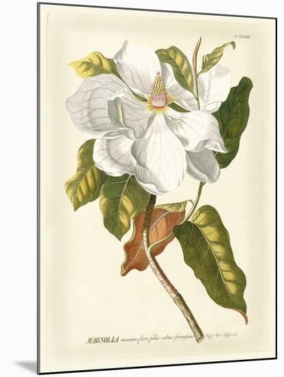 Magnificent Magnolias I-Jacob Trew-Mounted Premium Giclee Print