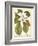 Magnificent Magnolias II-Jacob Trew-Framed Premium Giclee Print